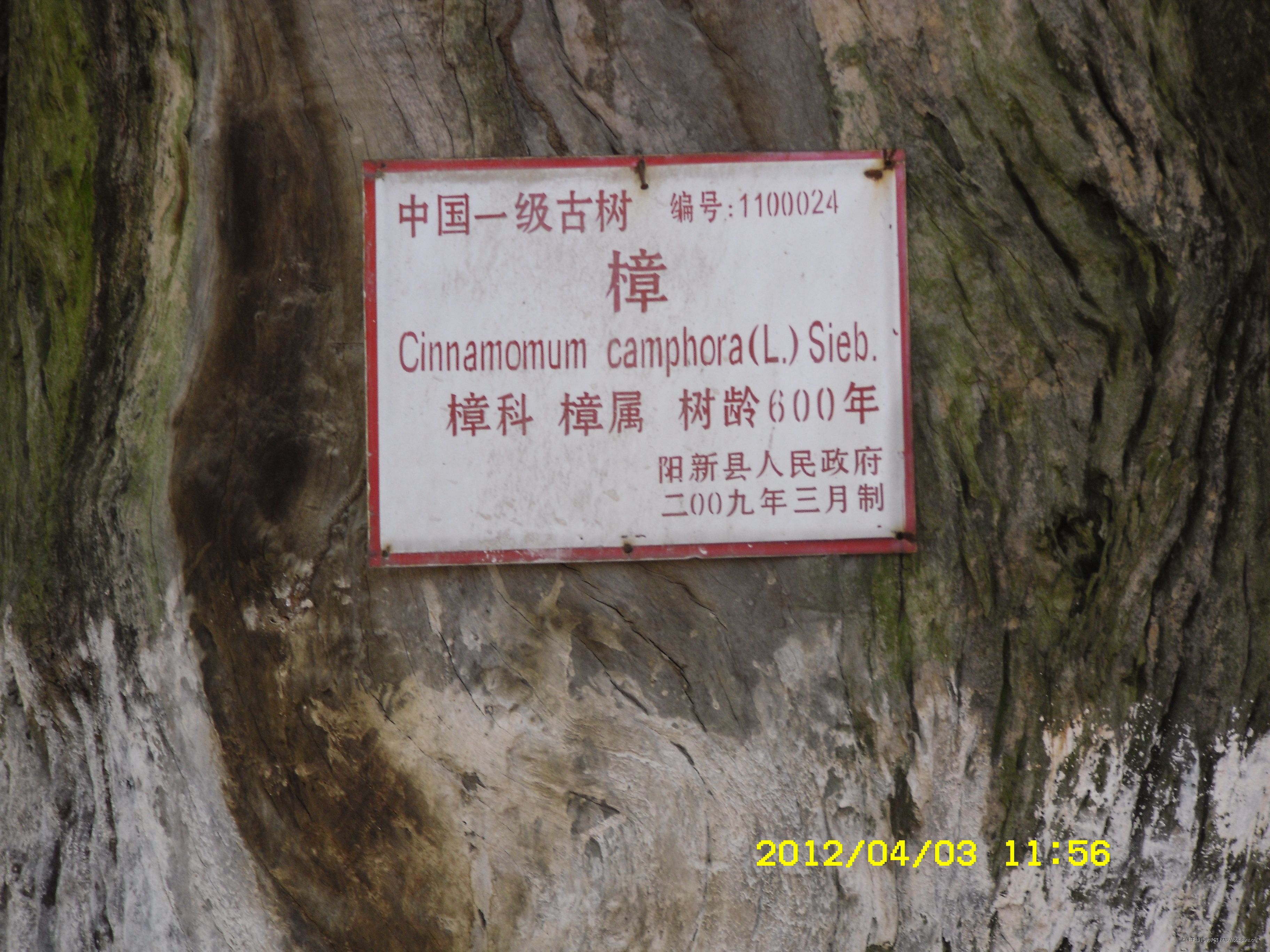 2012\04\04\16419109309422.jpg                                                                       